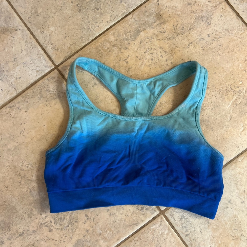 Blue Ombre Sports Bra